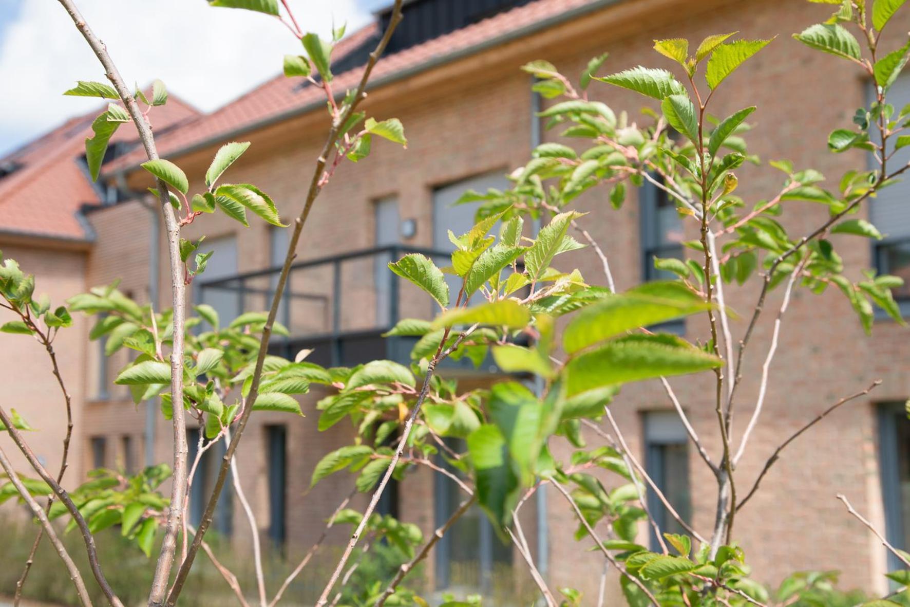Wohnen Am Suedstrand - Ferienwohnung 0 3 วืคเอาฟ์เฟอร์ ภายนอก รูปภาพ