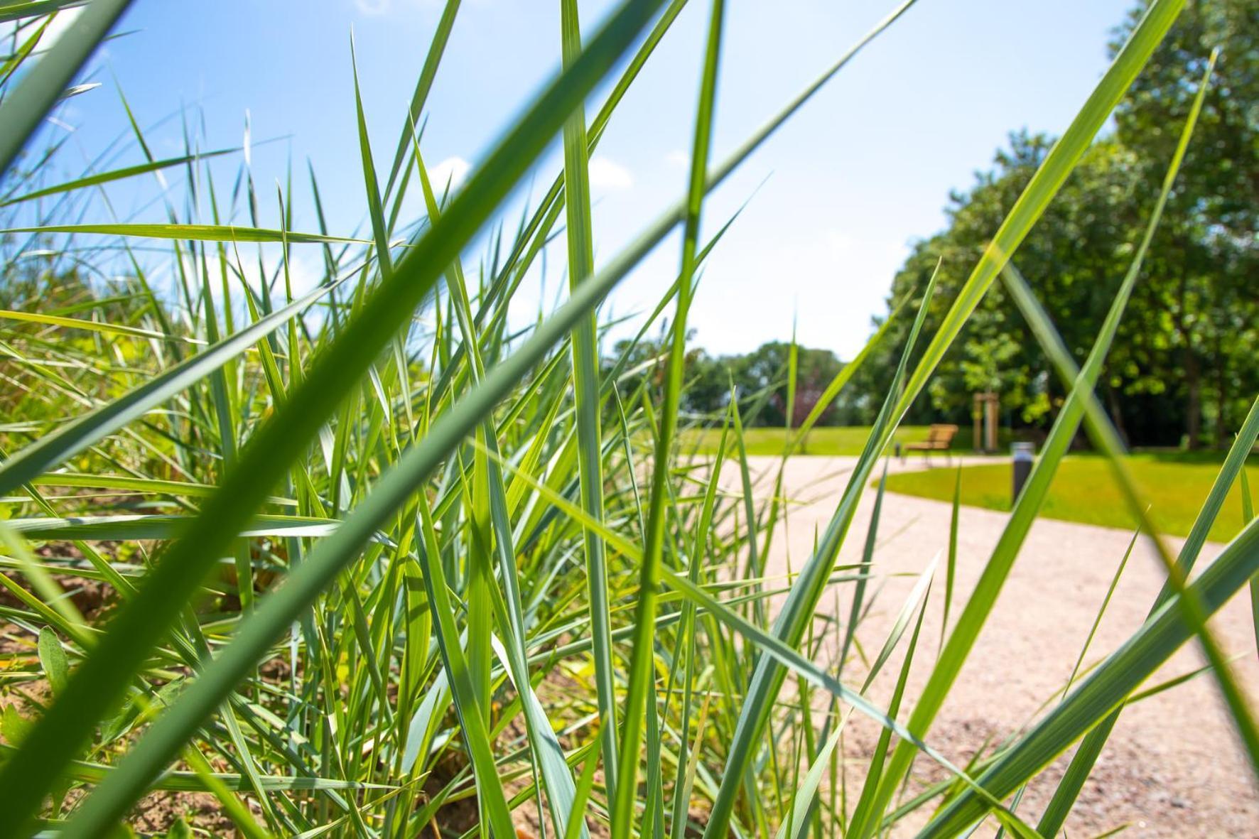 Wohnen Am Suedstrand - Ferienwohnung 0 3 วืคเอาฟ์เฟอร์ ภายนอก รูปภาพ