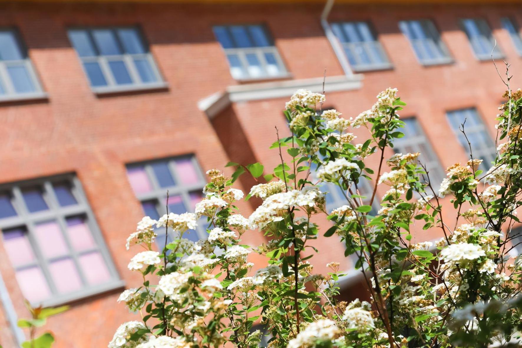Wohnen Am Suedstrand - Ferienwohnung 0 3 วืคเอาฟ์เฟอร์ ภายนอก รูปภาพ